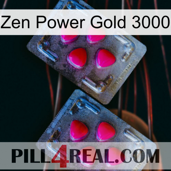 Zen Power Gold 3000 14.jpg